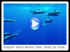 Dolphin Swim Remix (feat. Enlia) by Dylan Tauber