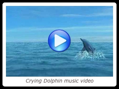 Crying Dolphin music video