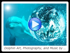 Dolphin Art, Photography, and Music by Dylan Tauber