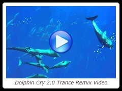 Dolphin Cry 2.0 Trance Remix Video