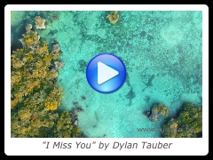 "I Miss You" by Dylan Tauber