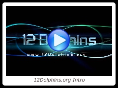 12Dolphins.org Intro