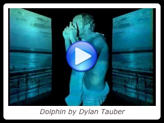 Dolphin by Dylan Tauber